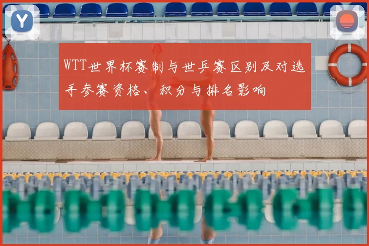 WTT世界杯赛制与世乒赛区别及对选手参赛资格、积分与排名影响
