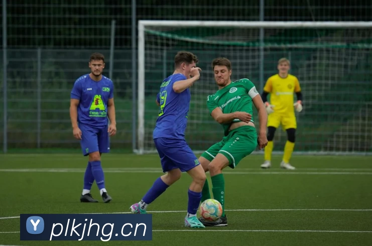 九游网页版·官方端入口 - 九游(中国)服务体系